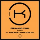 Fernando Vidal - Somebody