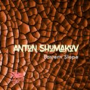 Anton Shumakov - Accomplishment