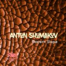 Anton Shumakov - Accomplishment (Original Mix)