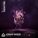 Jonas Wood - Rewind (Original Mix)