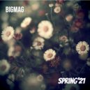 BigMag - Spring'21