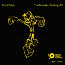 Chris Pulse - Love Is (Patience)