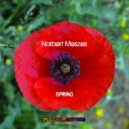 Norbert Meszes - Spring (BDTom Radio Edit)