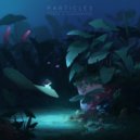 Casiio & Sleepermane - Mockingbird