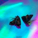 Nandu - Simple Reflections