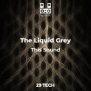 The Liquid Grey - Devils magic