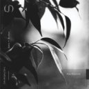 Andrew Tasselmyer - Outgrowth (Original Mix)
