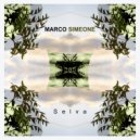 Marco Simeone - Selva