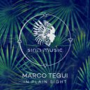 Marco Tegui - El Muro