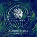 Marco Tegui - Chaising The Sun