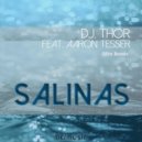 D.J. Thor feat. Aaron Tesser - Salinas