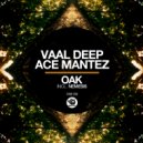 Ace Mantez - Nemesis (Dub Mix 2020)