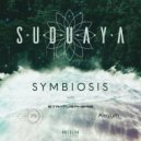Stratusphere & Suduaya - Earthlings