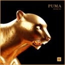 Room 109 - Puma (Original Mix)