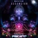PsyStream - Accept