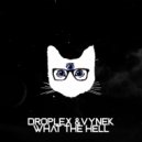 Droplex & Vynek - What The Hell