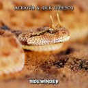 Acidova & Rick Tedesco - Sidewinder (Original Mix)