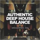 Maxiphonic - The Brithish Groove (Original Mix)