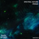 Spectral Nature - Prisma (Original mix)