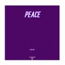 082 PUNK - PEACE