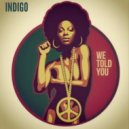Indigo - We Told You