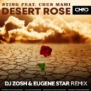 Sting feat. Cheb Mami - Desert Rose