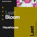 Haushouse - Last Bloom