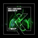 Sole (UK) & Dean Raven - Say 2 Much (Original mix)