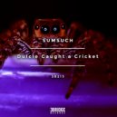 Sumsuch - Dulcie Caught a Cricket