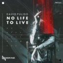 David Pulido - Furious