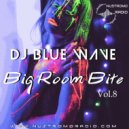 DJ Blue Wave - Blg Room Blte (Vol. 8) (30.05.2021)