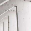 Rianu Keevs - Traffic