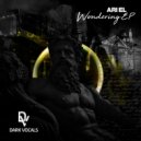 Ari El - Wondering (Original Mix)
