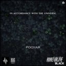 Pooyar - In Accordance With The Universe (Original mix)