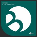 GANDER - If You Wanna Ride