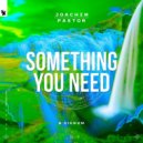 Joachim Pastor & Signum - Something You Need