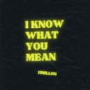 JJMillon - I Know What You Mean (old version)