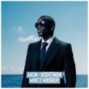 Akon x Topic, A7S - Right Now
