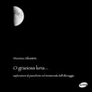 Vincenzo Silvestris - Via del campo / Sally (Live)