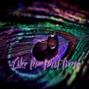Lofi Hip Hop & Chill Beats Music & Beats De Rap - Until I feel that I fly