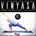 Hatha Yoga & Vinyasa & Yoga - Plank Pose (Kumbhakasana)