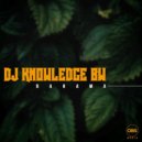 DJ Knowledge - Bahama