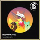 Deep Acolytes - Hidden Feelings (Spiritual Version)