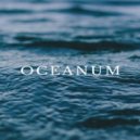 Osc Project - Oceanum