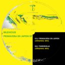 Bilevicius - Pareidolia (Original Mix)