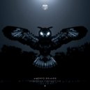 Amorfo Sounds - Darkness Connects Us