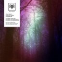 Steve Glass & Forty Fifth Parallel/Forty Fifth Parallel - Dark Stars