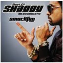 Shaggy - Boombastic (Deepside Deejays Remix)