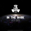Acid South - In The Dark (Original Mix)