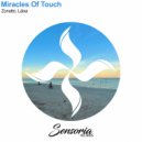 Zonatto, Láisa - Miracles Of Touch (Extended Mix)